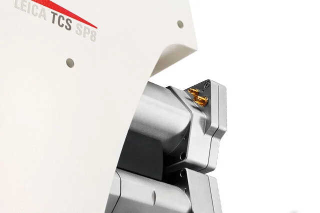 SP8 SR